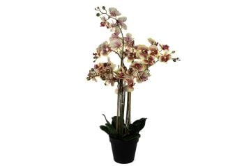 Krem Pembe 8li Yapay Orkide 110cm