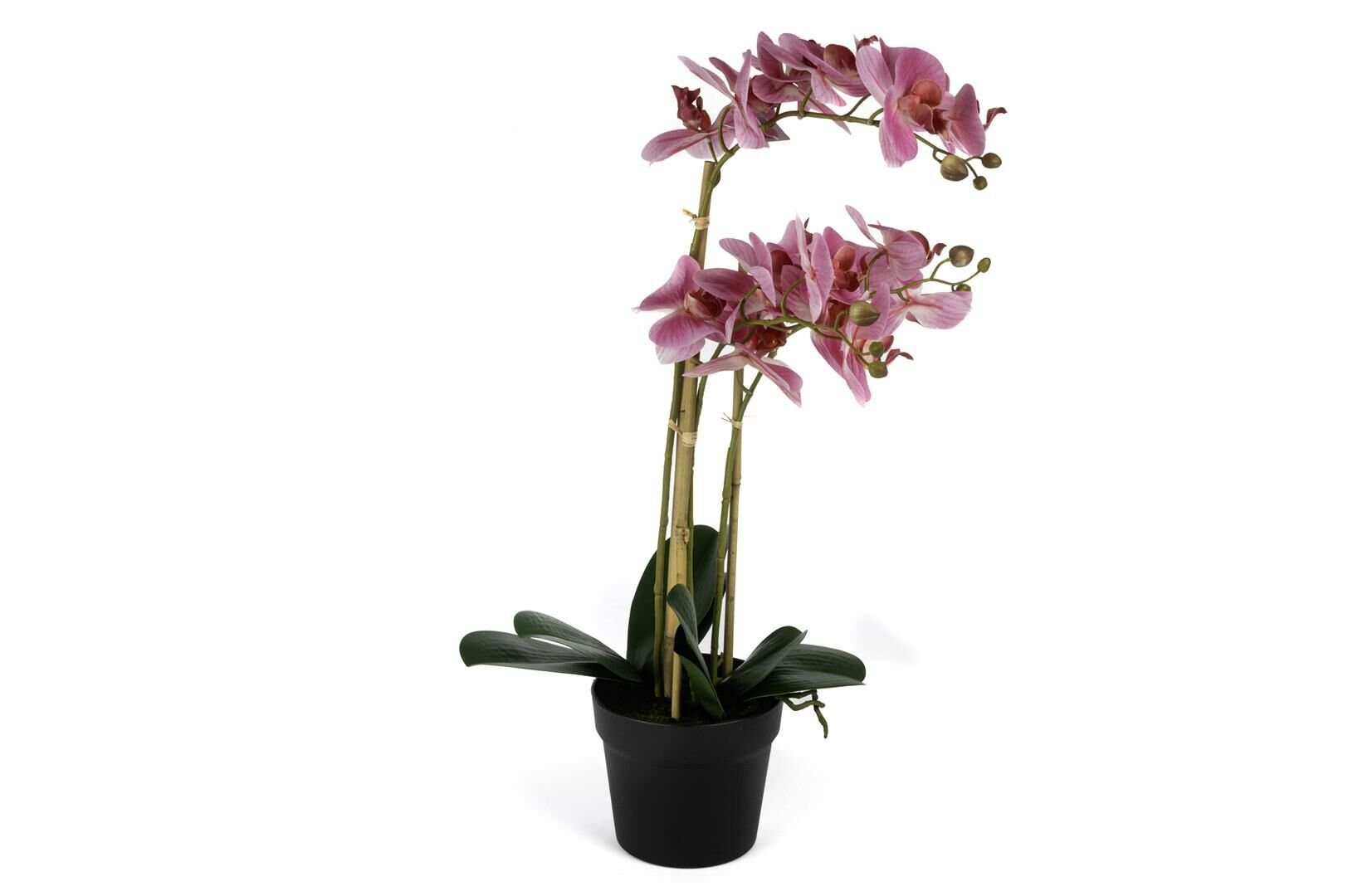 Pebme 3lü Yapay Orkide 65cm