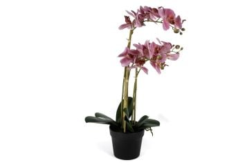 Pebme 3lü Yapay Orkide 65cm