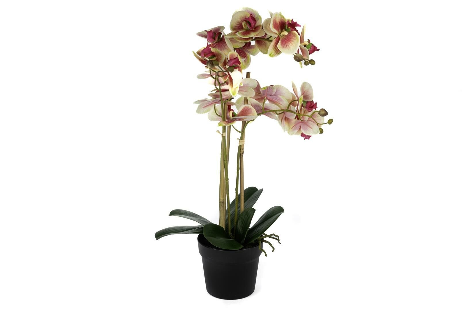 Krem Pembe 3lü Yapay Orkide 65cm