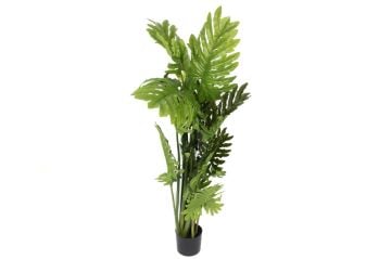 Philodendron Yapay Ağaç 140cm