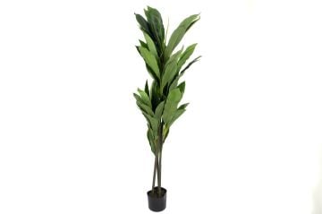 Dracaena Fragrans Yapay Ağaç 145cm
