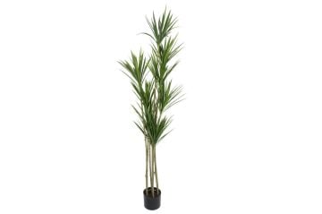 Dracaena Marginata Yapay Ağaç 155cm