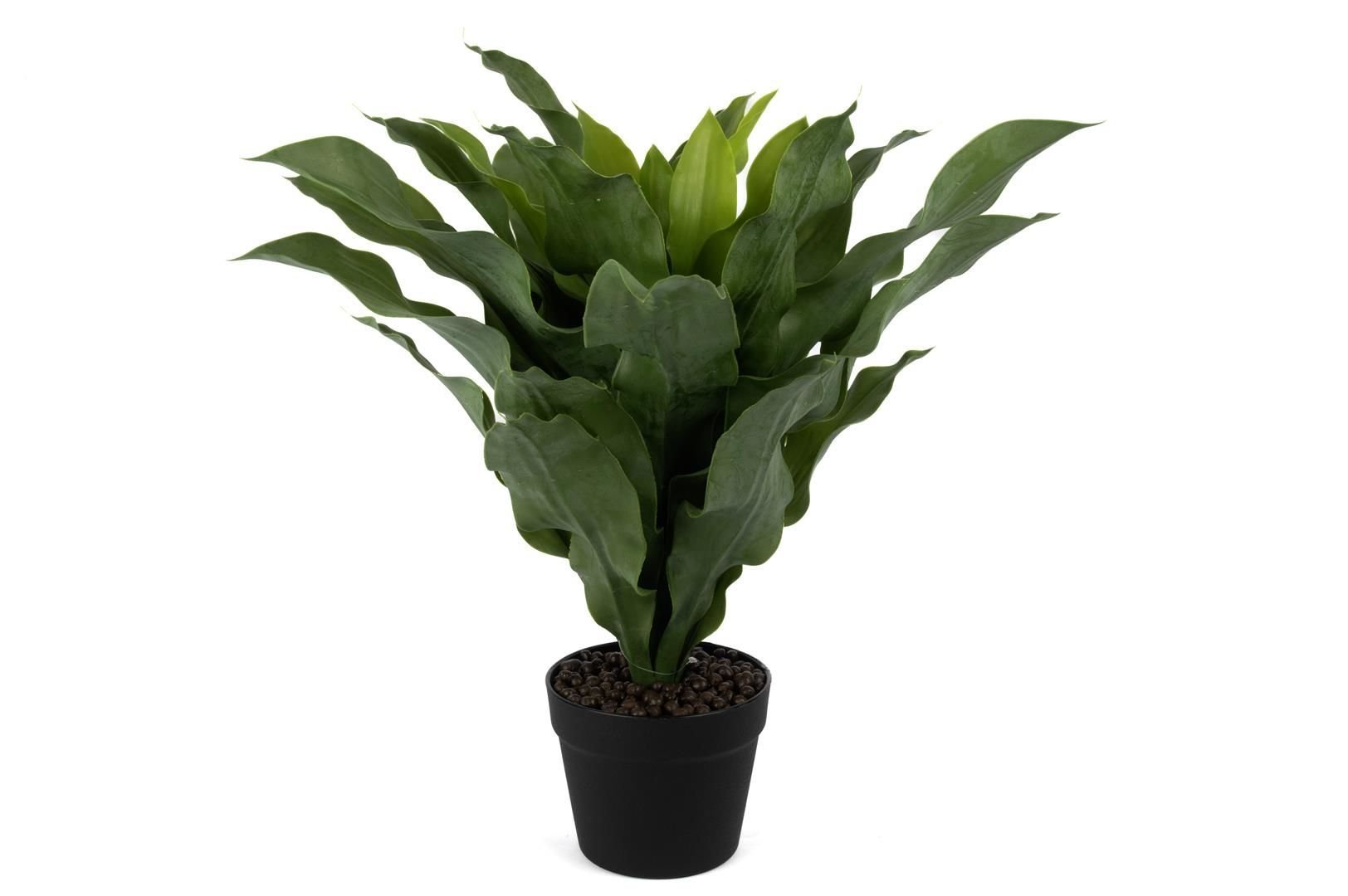 Brazilwood Yapay Çiçek 60cm