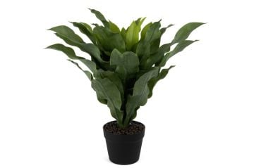 Brazilwood Yapay Çiçek 60cm