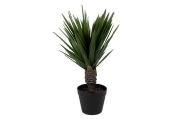 Dracaena Draco Yapay Ağaç 50cm