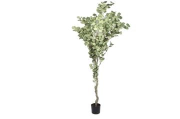 Okaliptüs Yapay Ağaç 190cm