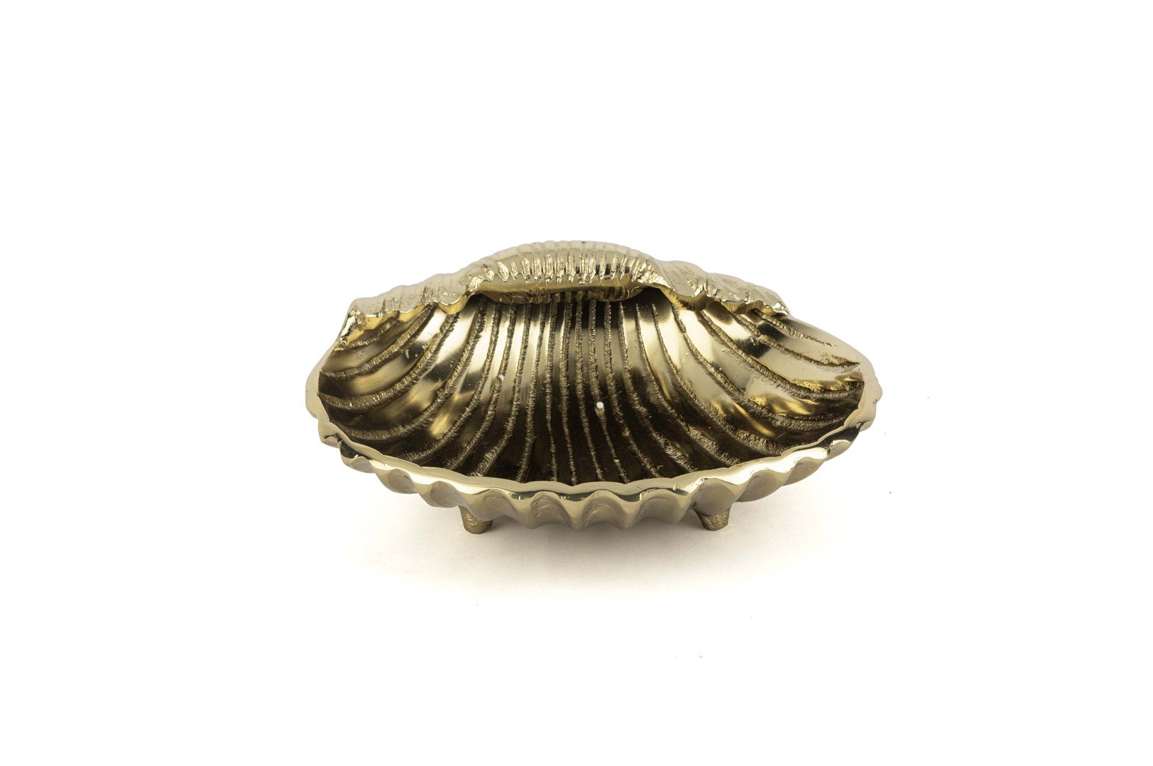 Antik Gold Deniz Kabuğu Kase 22x8cm