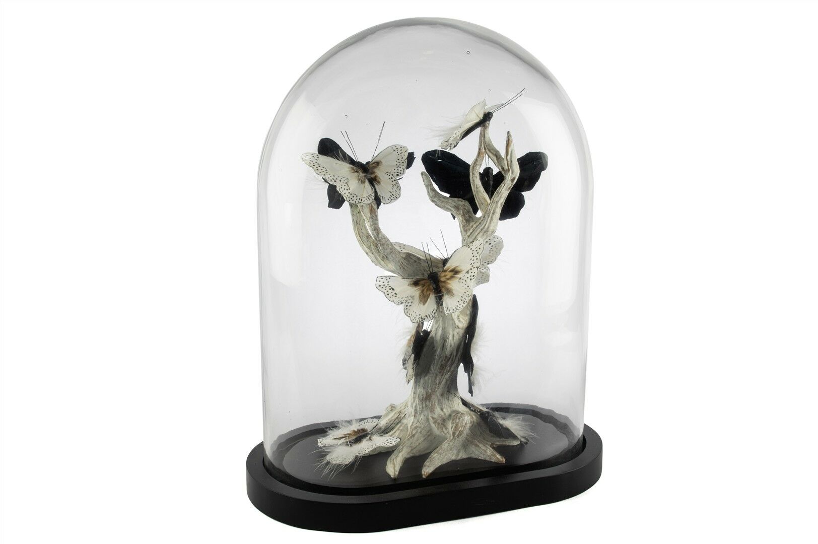 Beyaz Kelebekli Cam Fanus 34x20x42cm