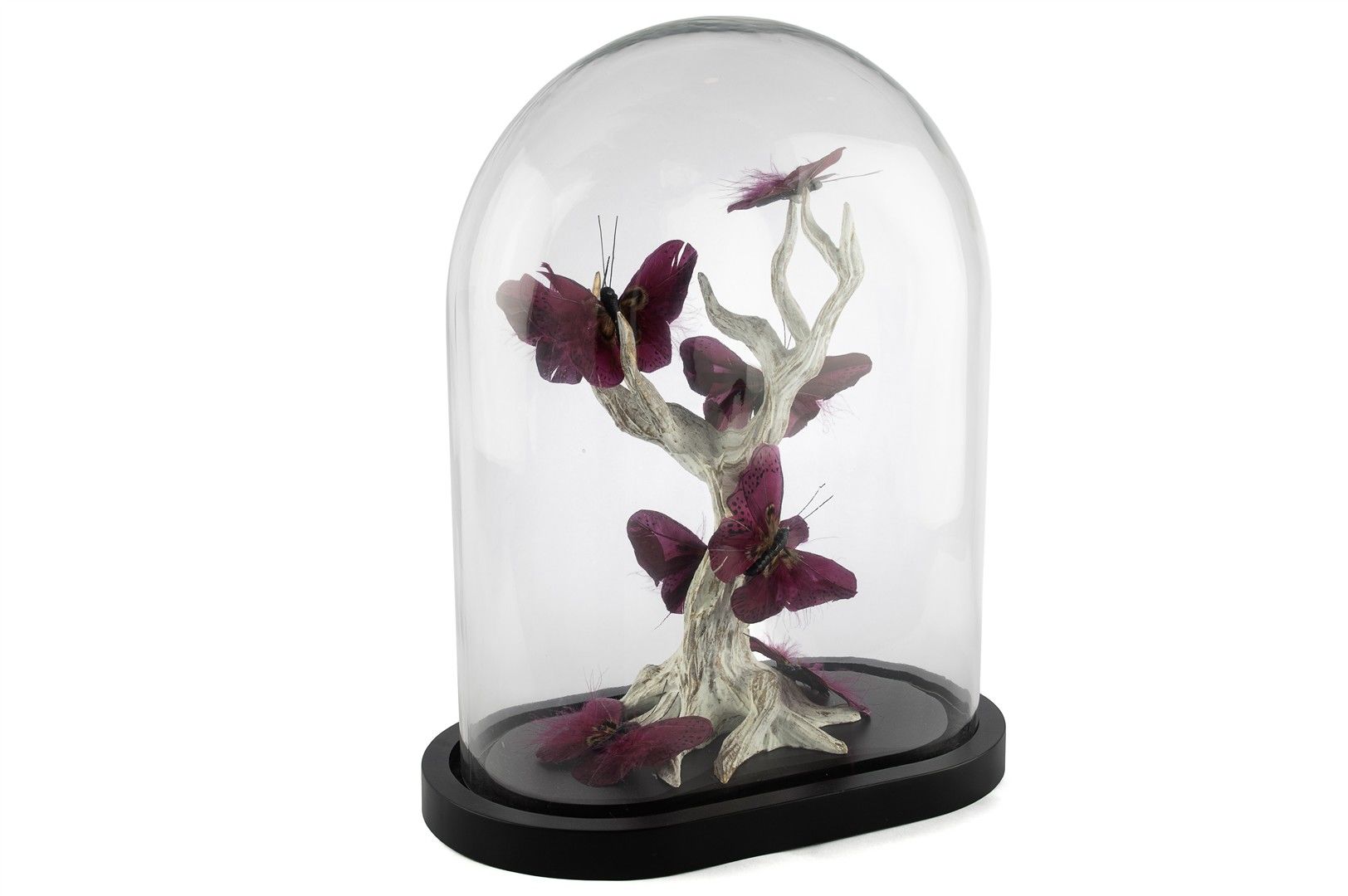 Bordo Kelebekli Cam Fanus 34x20x42cm