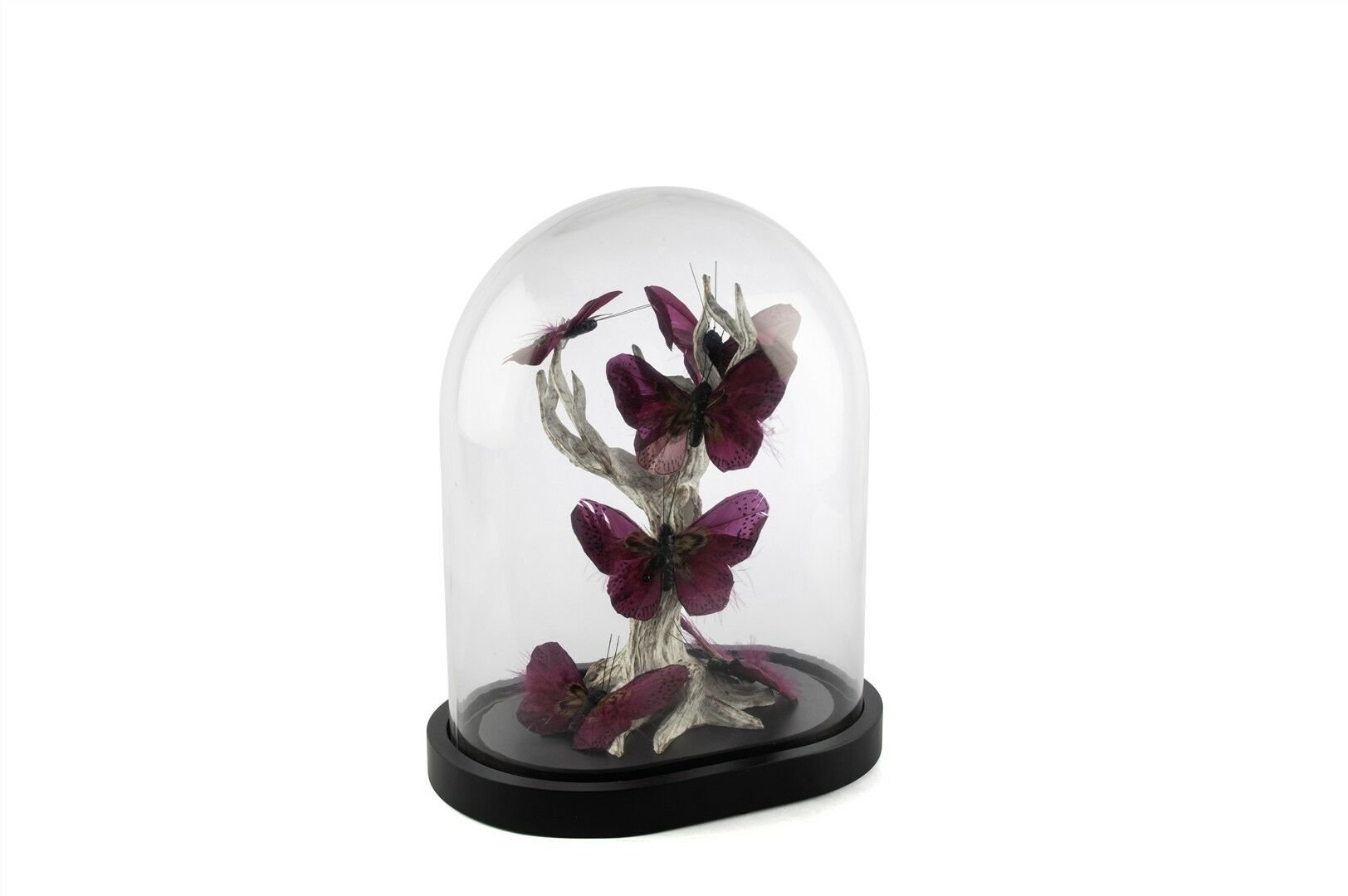 Bordo Kelebekli Cam Fanus 27x20x33cm