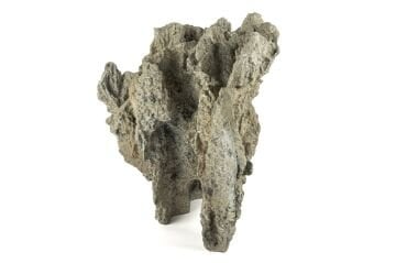 Gri Dek Mercan Kayası 54x37cm