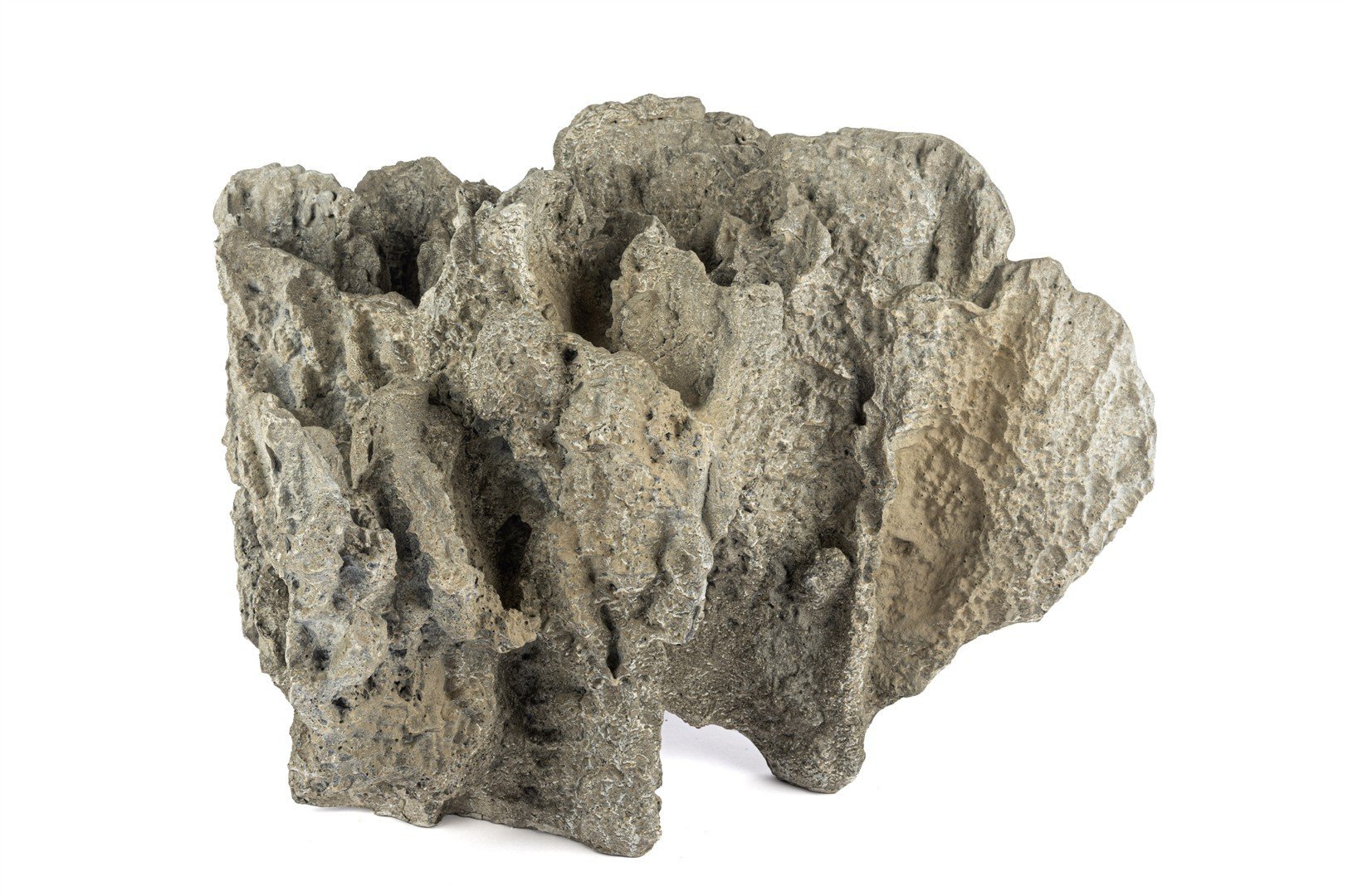 Gri Dek Mercan Kayası 54x37cm