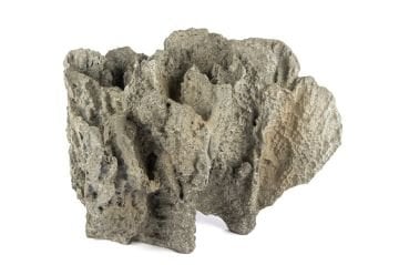 Gri Dek Mercan Kayası 54x37cm