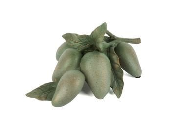 Yeşil Dek Mango 35x17cm