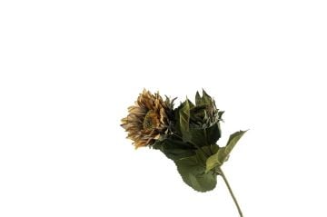 Sunflower Kahve Sarı Yapay Çiçek 60cm