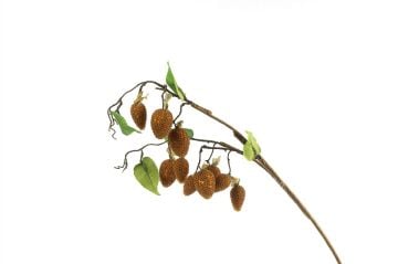 Raspberry Yapay Dek Dal 85cm