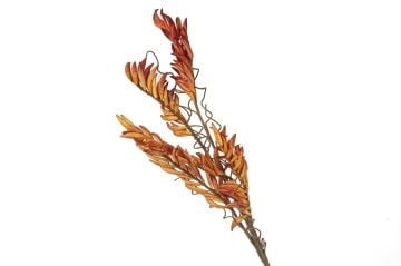 Turuncu Uzun Yapay Çiçek 90cm