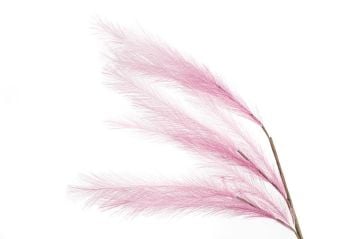 Pembe Pampas Yapay Çiçek