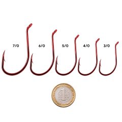Shogun Octopus Beak Red İğne