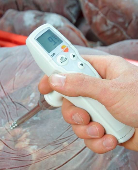 Testo 105 - Tek Elle Kullanılabilen Sıcaklık Ölçüm Cihazı, Standart Ölçüm Uçlu