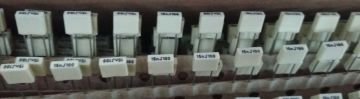15nF MKM Kondansatör BA:5mm