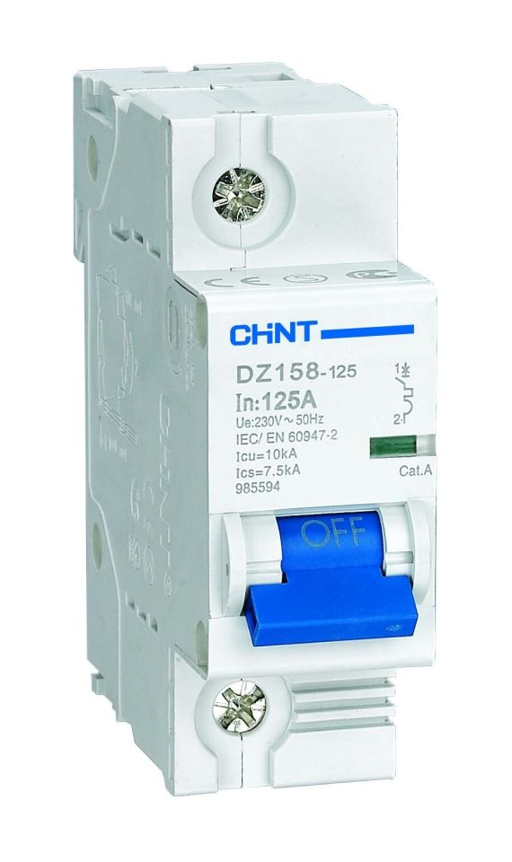 DZ158 Serisi 1*100A C tipi 10kA otomatik sigorta