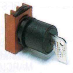 P9XSCDA95 anahtarlı Buton 22mm(AnahtarÇıkışPoz.I)