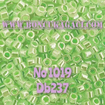 NO:1019 Miyuki Delica , Miyuki Boncuk 11/0 DB237 Parlak Açık Mint Yeşil