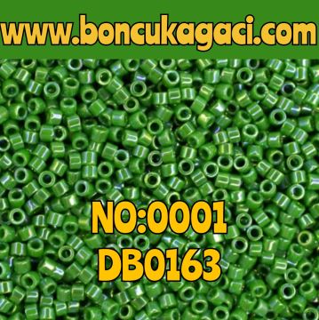 NO:001 Miyuki Delica Boncuk 11/0 DB0163 Opak Rainbow Yeşil