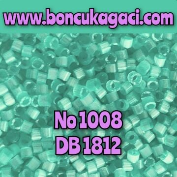 NO:1008 Miyuki Delica Boncuk 11/0 DB1812 İpek Saten Boyalı Su Yeşili