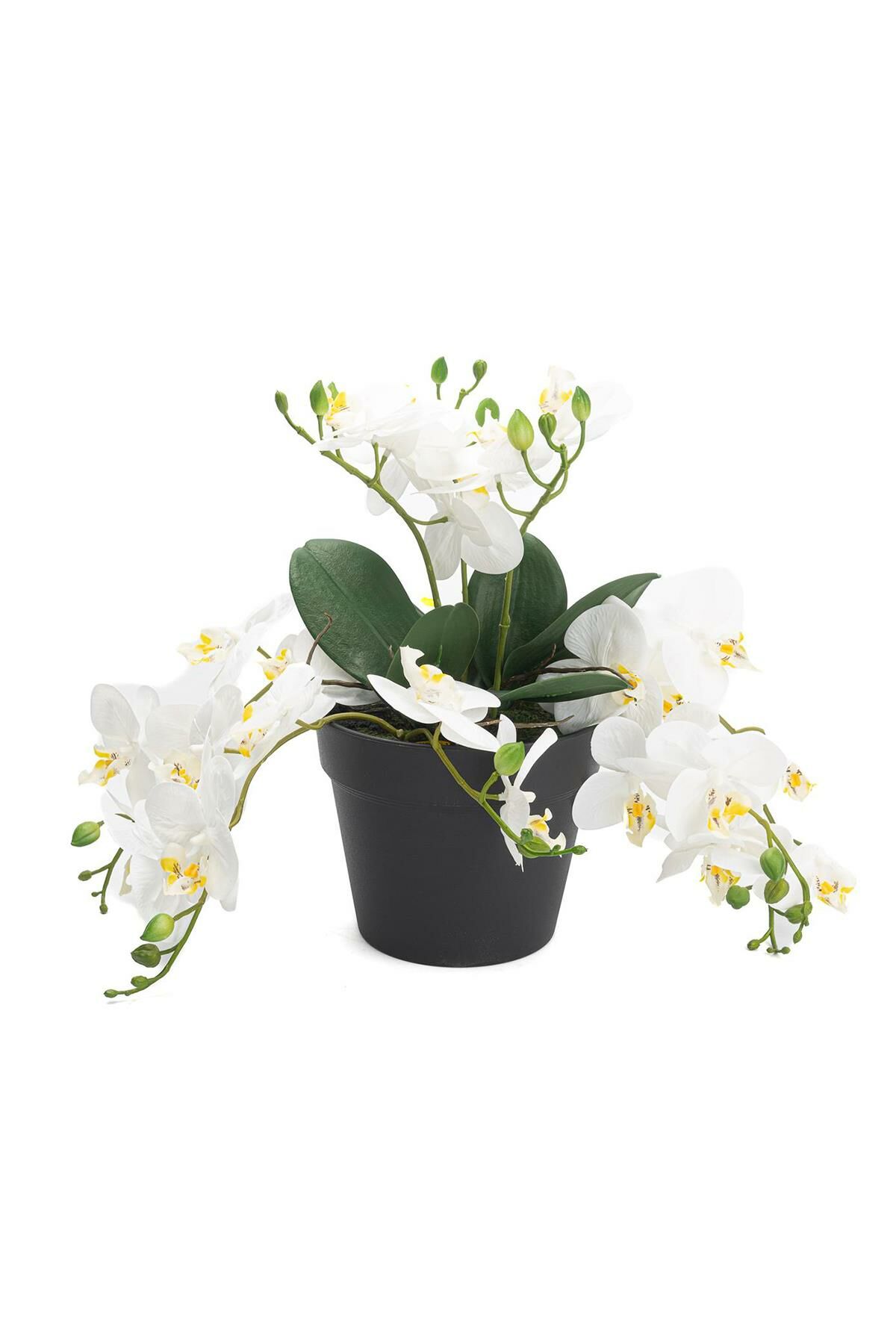 BEYAZ SARKAN YAPAY ORKİDE 33CM