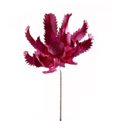Purple Serrated Rose