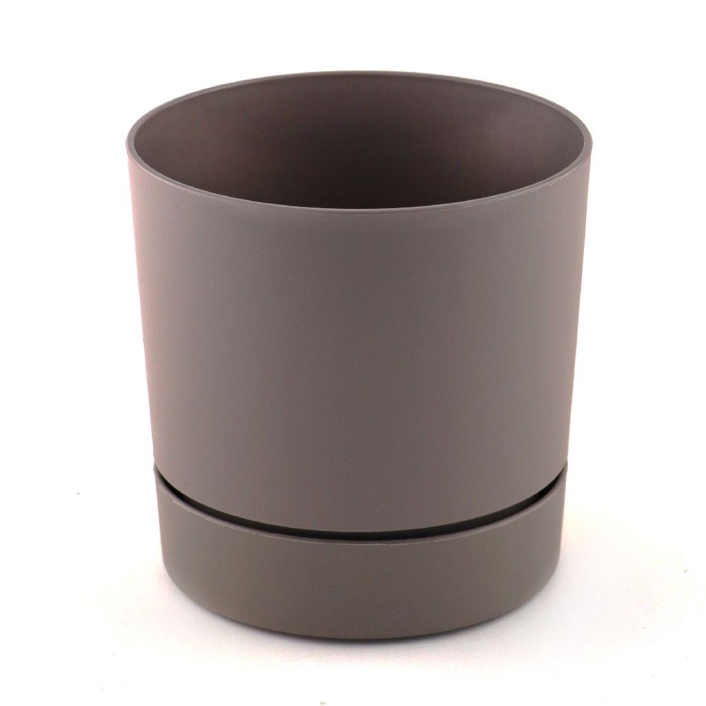 POLİWORK BEGONYA SAKSI KREM 12CM
