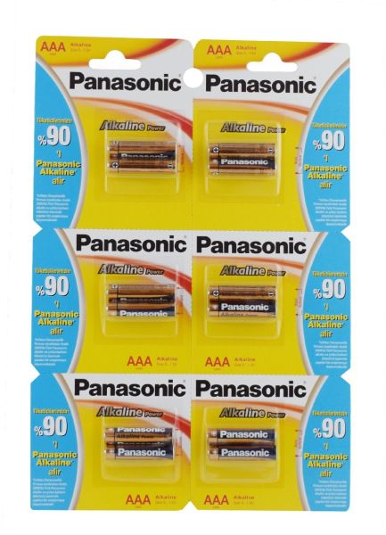 PANASONİC ALKANLİN 2 Lİ İNCE PİL ASKILI