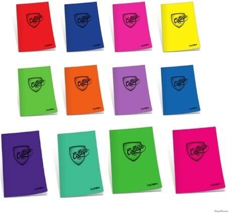 ÇINAR COLLEGE PP KP DEFTER 100/4 KARELİ A4 76008