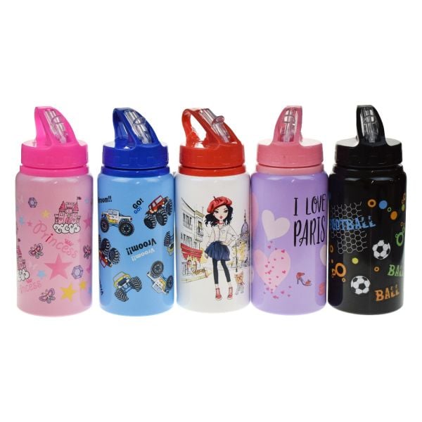TGB ALİMİNYUM SU MATARASI 500 ML 3006