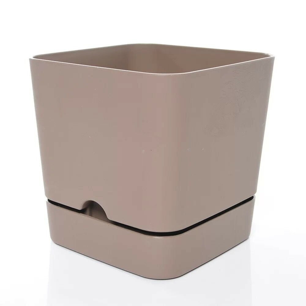 POLİWORK BEGONYA KARE SAKSI KREM 13CM