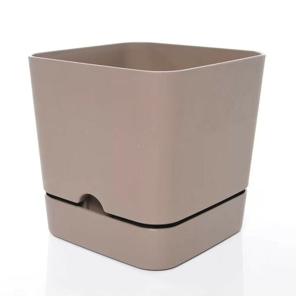 POLİWORK BEGONYA KARE SAKSI KREM 13CM