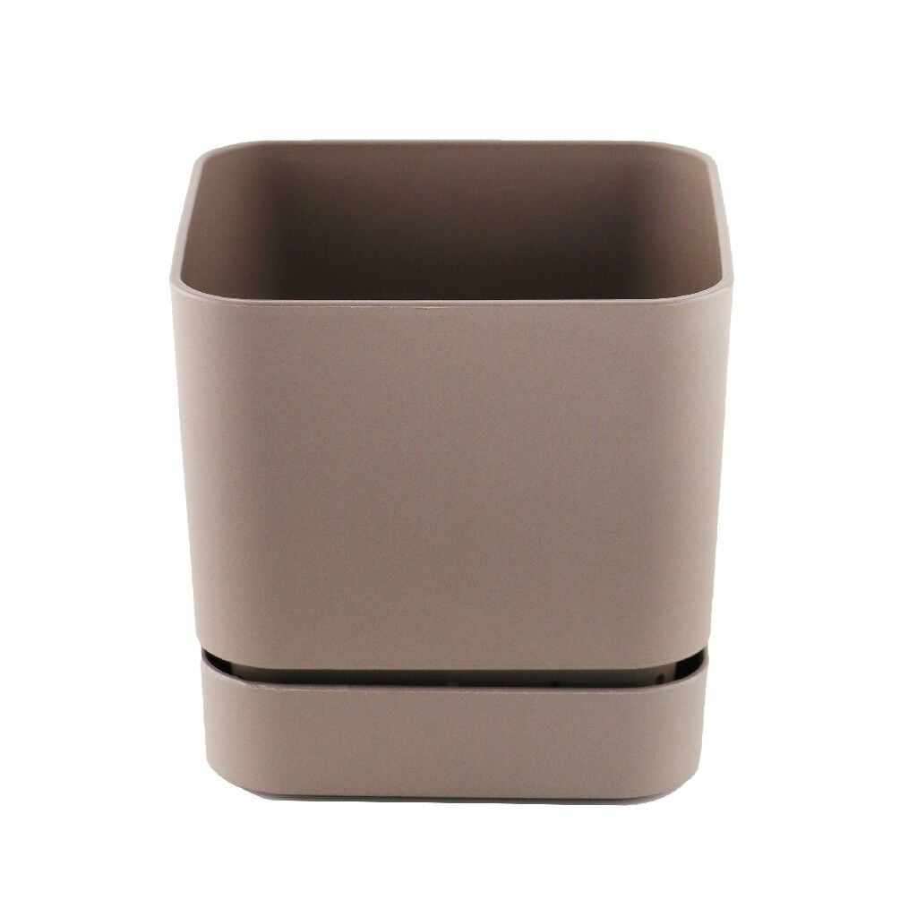 POLİWORK BEGONYA KARE SAKSI KREM 16CM