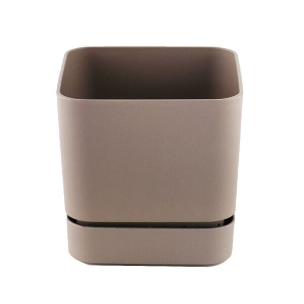 POLİWORK BEGONYA KARE SAKSI KREM 16CM