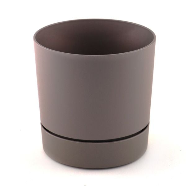 POLİWORK BEGONYA SAKSI KREM 9CM