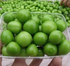 Yeşil Can Erik Turfanda Taze (20 Adet)