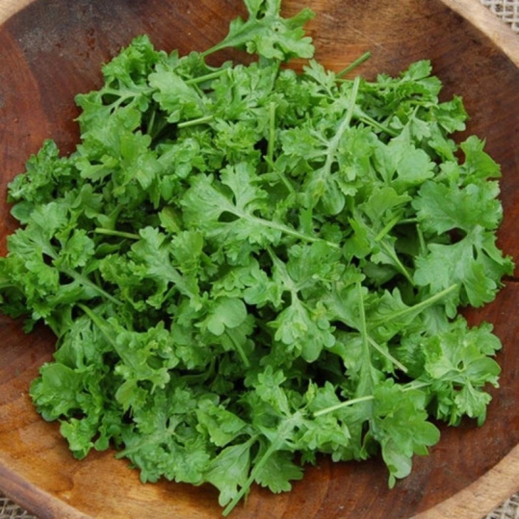 Doğal Baharlı Kıvırcık Tere Tohumu(100 tohum)