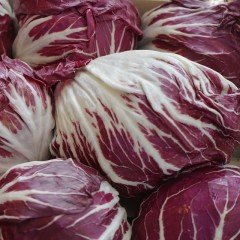 İtalyan Chicory Hindiba Tohumu(100 tohum)