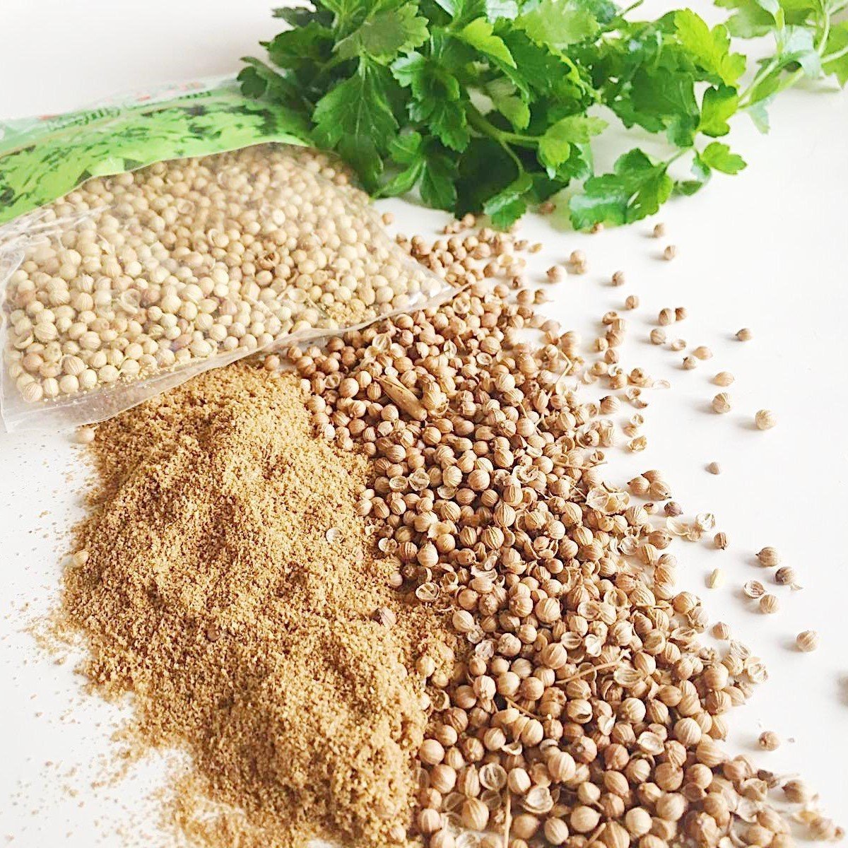 Doğal Kişniş Tohumu (Aşotu) (1 kg)