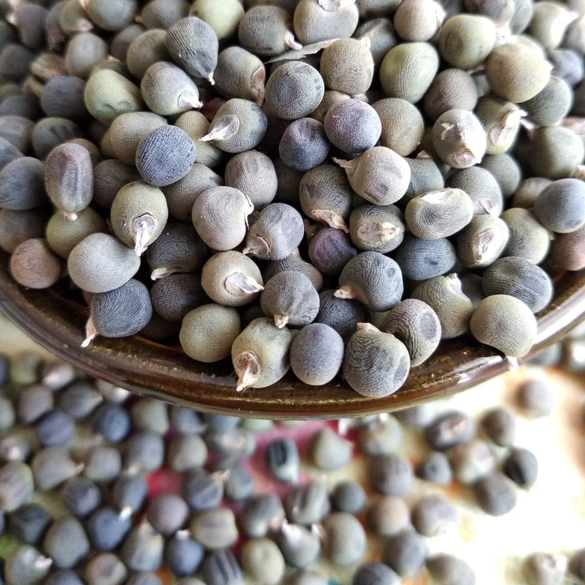 Şifa Kaynağı Doğal Bamya Tohumu (250 gram)