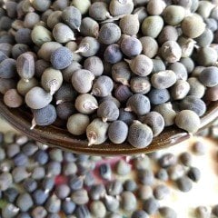 Şifa Kaynağı Doğal Bamya Tohumu (250 gram)