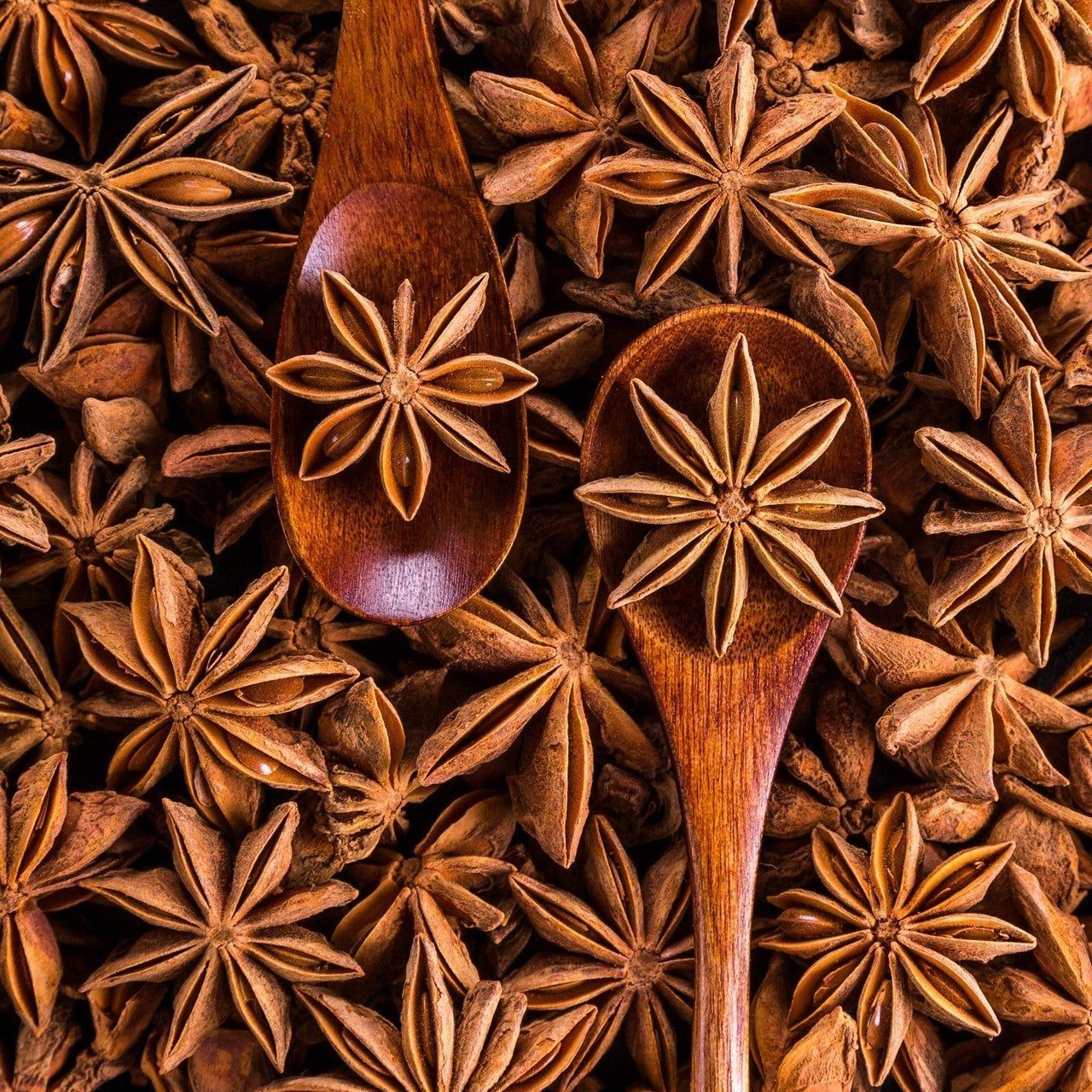 Naturel Anason Tohumu(100 adet)