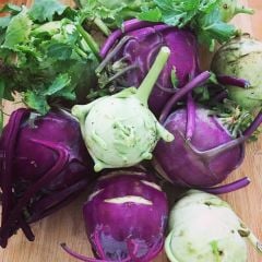 Mor Alabaş Kohlrabi Tohumu (20 Tohum)